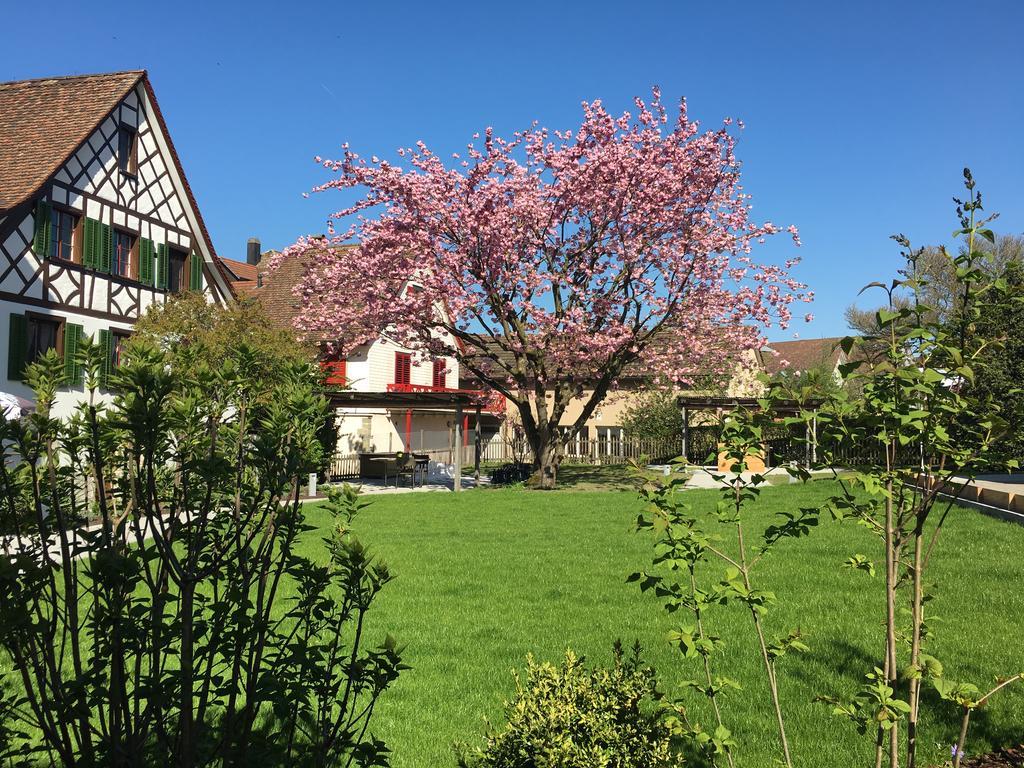 Ferienhotel Bodensee 베링언 외부 사진